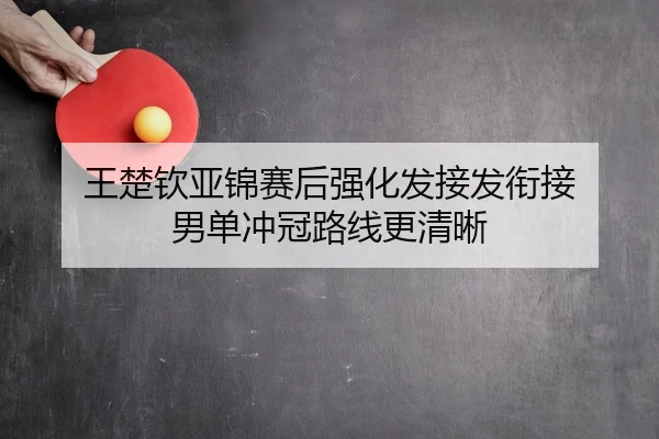 王楚钦亚锦赛后强化发接发衔接 男单冲冠路线更清晰 - OD.com